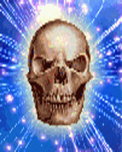 pic for Skull Flash